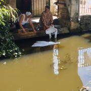 Nos belles lavandières