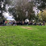 Sortie bernache et châtaignes - Camping de Chouzé sur loire