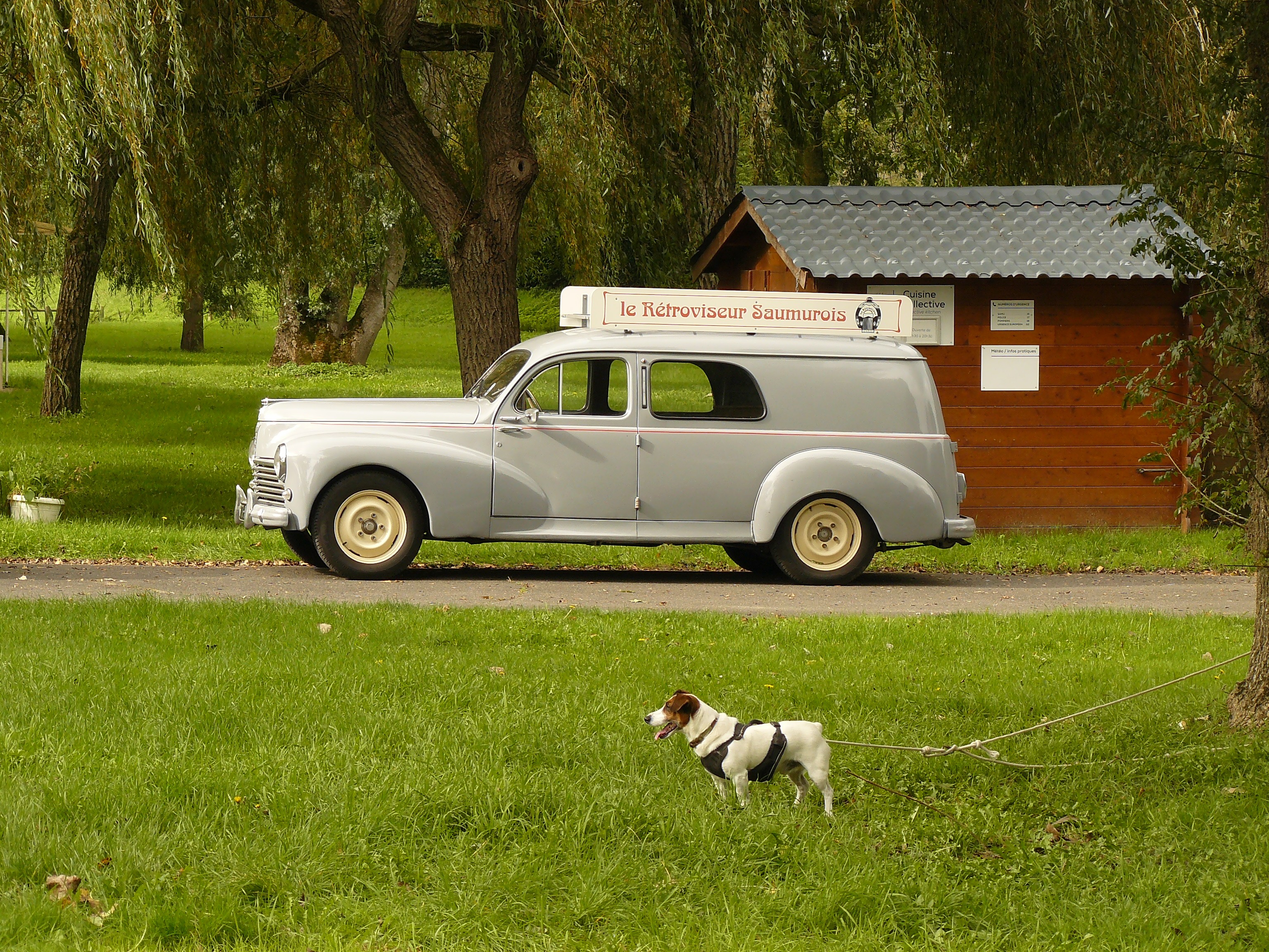 Sortie bernache et châtaignes - Camping de Chouzé sur loire