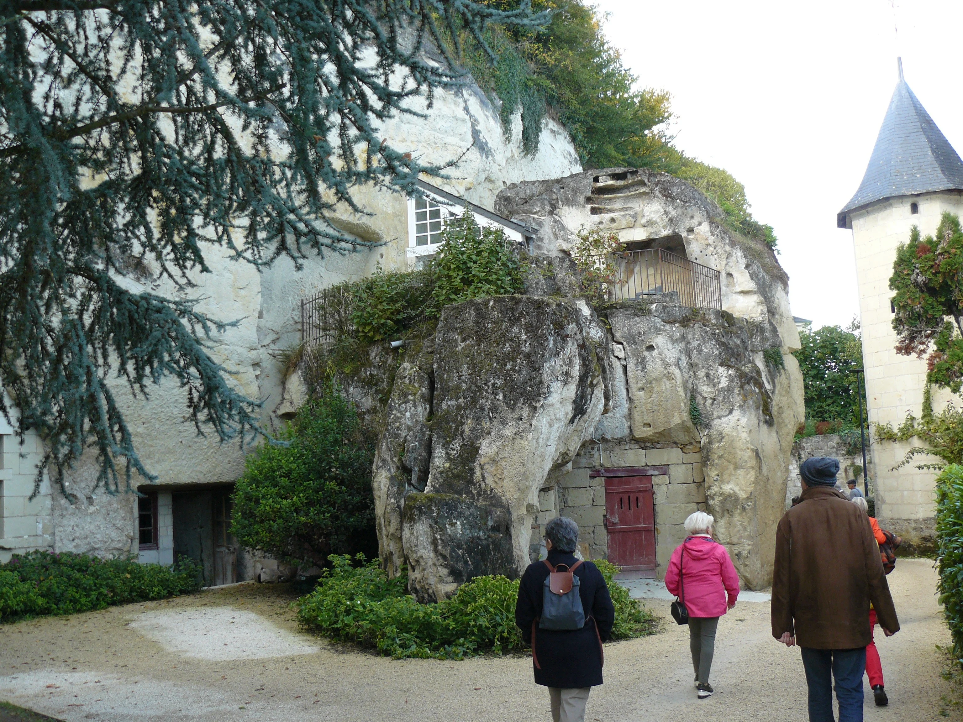 Sortie bernache et châtaignes