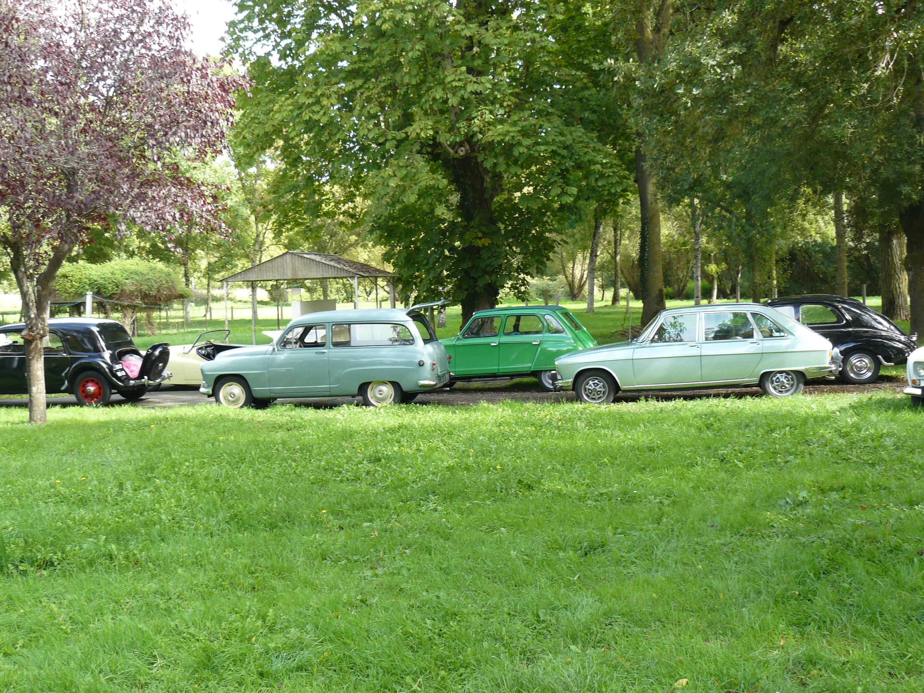 Sortie bernache et châtaignes